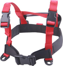Load image into Gallery viewer, Ski Trainer Harness with Leash